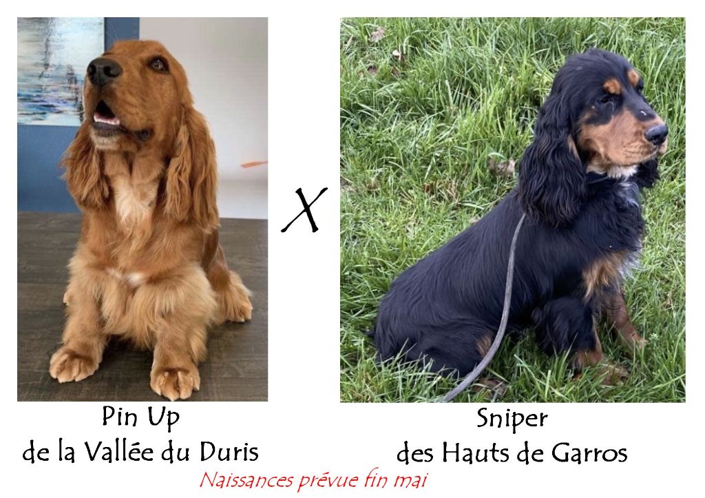 De la vallee du duris - Saillie Pin Up et Sniper